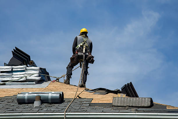 Professional Flat Roof Repair technician working in Philo, IL